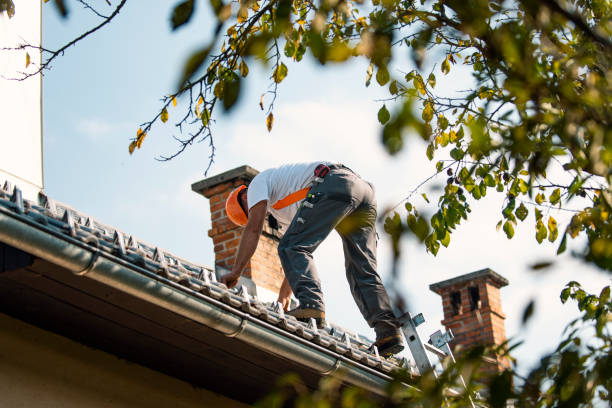 Best Roof Restoration Services  in Monmouth, IL