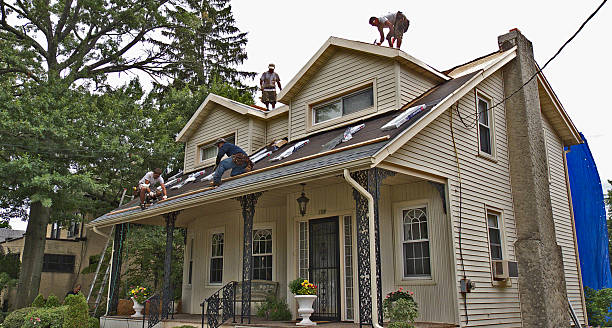 Best Flat Roof Repair Services  in Monmouth, IL